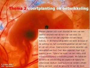 Thema 2 Voortplanting en ontwikkeling Mensen planten zich