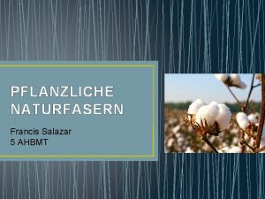 PFLANZLICHE NATURFASERN Francis Salazar 5 AHBMT INHALT Allgemeines