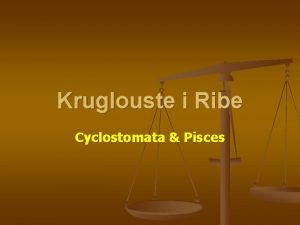 Kruglouste i Ribe Cyclostomata Pisces Subphylum VERTEBRATA Classis