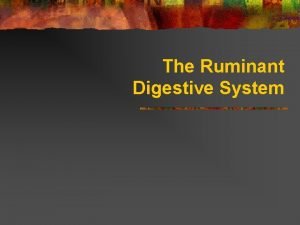 The Ruminant Digestive System Ruminant Digestive Systems n