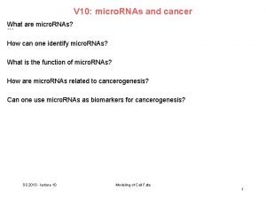 V 10 micro RNAs and cancer What are