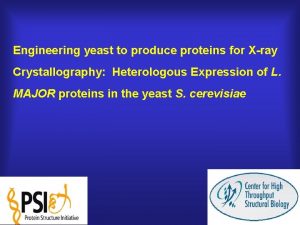 Engineering yeast to produce proteins for Xray Crystallography