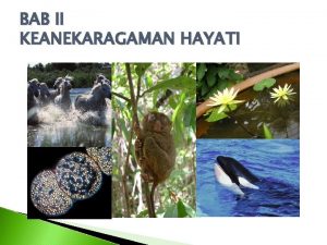 BAB II KEANEKARAGAMAN HAYATI KEANEKARAGAMAN HAYATI BIODIVERSITAS Keanekaragaman