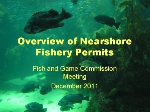 Overview of Nearshore Fishery Permits Fish and Game