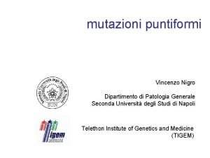 mutazioni puntiformi Vincenzo Nigro Dipartimento di Patologia Generale