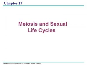 Chapter 13 Meiosis and Sexual Life Cycles Copyright