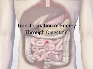 Energy transformation in digestion