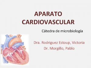 APARATO CARDIOVASCULAR Ctedra de microbiologa Dra Rodriguez Estoup