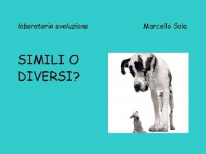 laboratorio evoluzione SIMILI O DIVERSI Marcello Sala Disegnate