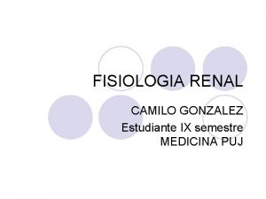 FISIOLOGIA RENAL CAMILO GONZALEZ Estudiante IX semestre MEDICINA