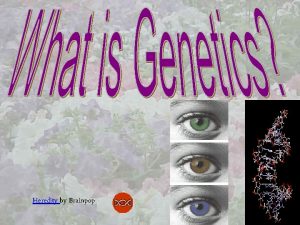 Heredity by Brainpop I Heredity Genetics o The