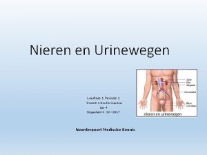 Nieren en Urinewegen Leerfase 1 Periode 1 Docent