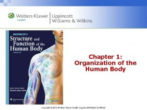 Chapter 1 Organization of the Human Body Copyright