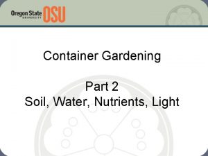 Container Gardening Part 2 Soil Water Nutrients Light