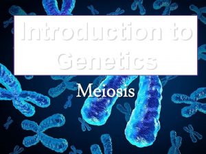 Introduction to Genetics Meiosis Vocabulary Terms Homologous each