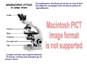 Condensatore microscopio ottico