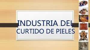 INDUSTRIA DEL CURTIDO DE PIELES 1 INTRODUCCIN La