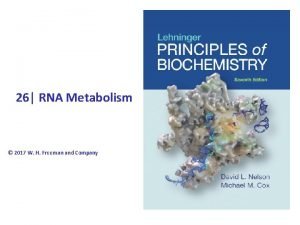 26 RNA Metabolism 2017 W H Freeman and