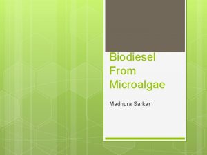 Biodiesel From Microalgae Madhura Sarkar Outline Biodiesel from