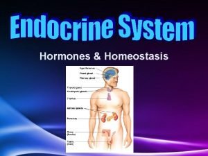 Hormones Homeostasis Homeostasis Homeostasis maintaining internal balance in