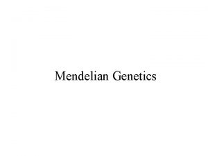 Mendelian Genetics Mendelian Genetics Also referred to as