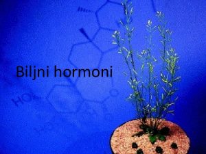 Biljni hormoni BILJNI HORMONI i regulatori rastenja Regulatori