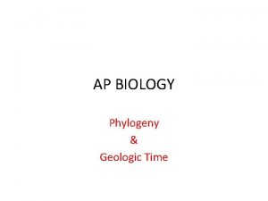 AP BIOLOGY Phylogeny Geologic Time Phylogeny of the