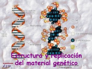 Estructura y replicacin del material gentico Dr Antonio