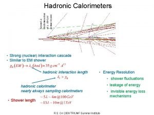 Hadronic shower