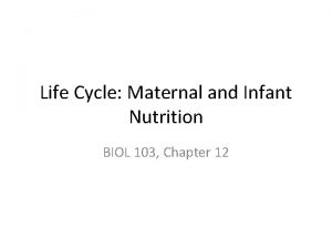 Life Cycle Maternal and Infant Nutrition BIOL 103