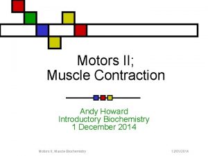 Motors II Muscle Contraction Andy Howard Introductory Biochemistry