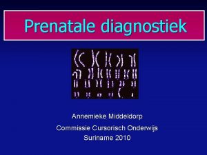 Prenatale diagnostiek Annemieke Middeldorp Commissie Cursorisch Onderwijs Suriname