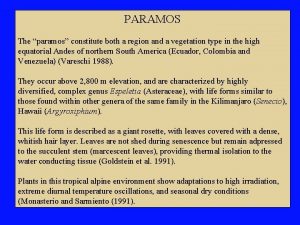 PARAMOS The paramos constitute both a region and