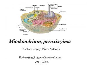 Mitokondrium peroxiszma Zachar Gergely Zsiros Viktria Egszsggyi gyvitelszervez