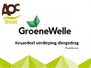 Keuzedeel verdieping diergedrag Proefdieren Inhoud les Wat weten