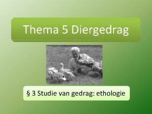 Thema 5 Diergedrag 3 Studie van gedrag ethologie