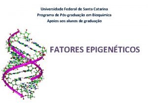 Universidade Federal de Santa Catarina Programa de Psgraduao