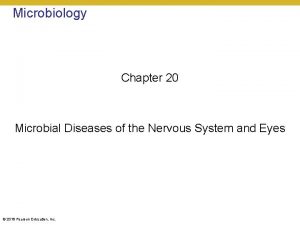 Microbiology Chapter 20 Microbial Diseases of the Nervous