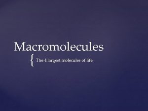 Function of macromolecule