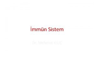 mmn Sistem Dr Mehmet KILI mmn Sistem Konak
