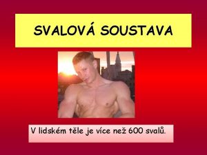 SVALOV SOUSTAVA V lidskm tle je vce ne