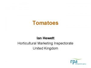 Tomatoes Ian Hewett Horticultural Marketing Inspectorate United Kingdom