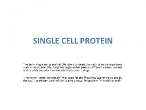 SINGLE CELL PROTEIN The term single cell protein