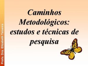 Profa Dra Elizabeth Teixeira Caminhos Metodolgicos estudos e