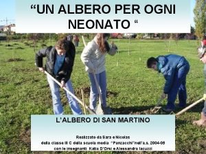 UN ALBERO PER OGNI NEONATO LALBERO DI SAN