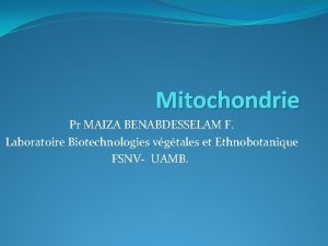 Mitochondrie Pr MAIZA BENABDESSELAM F Laboratoire Biotechnologies vgtales