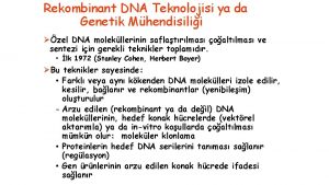 Rekombinant DNA Teknolojisi ya da Genetik Mhendisilii zel