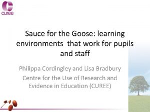 Sauce for the Goose learning environments that work
