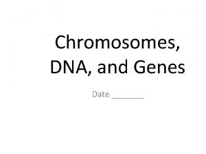 Chromosomes DNA and Genes Date Organization of DNA