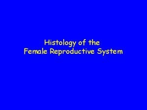 Histology of the Female Reproductive System Reproductive function